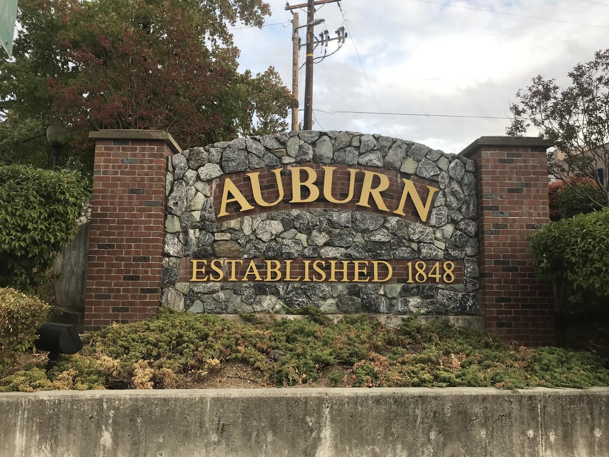 Elmwood Auburn
